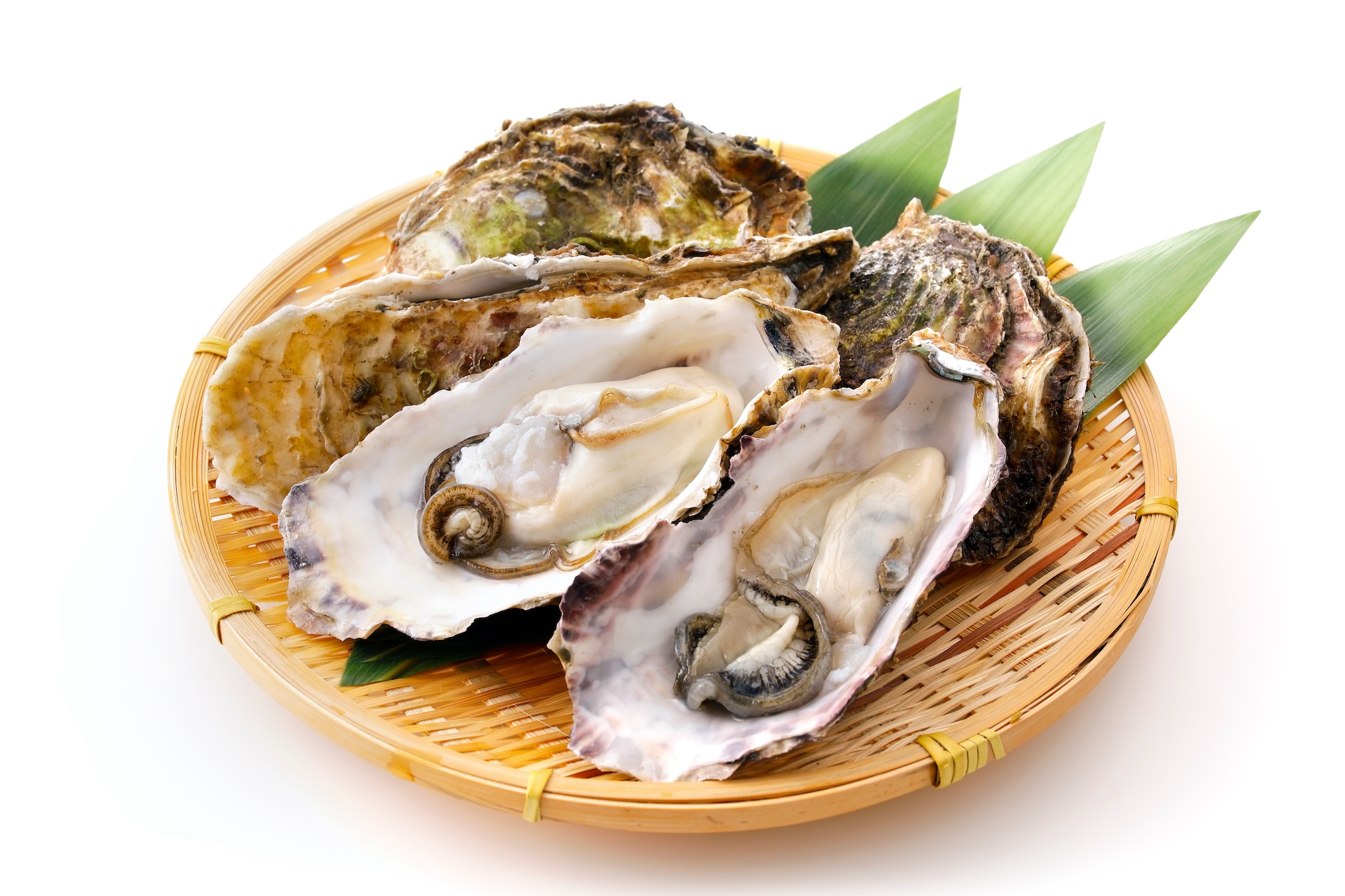 厚岸産 殻かき L 20個セット