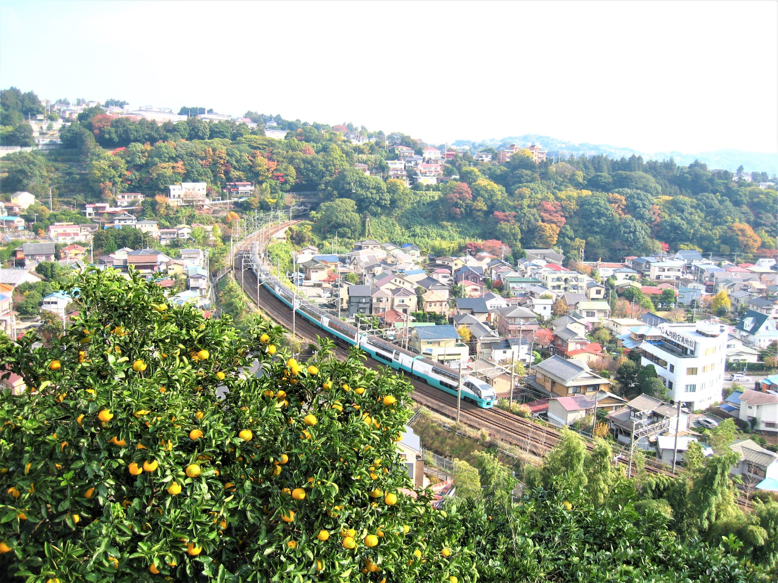 神奈川県・湯河原町