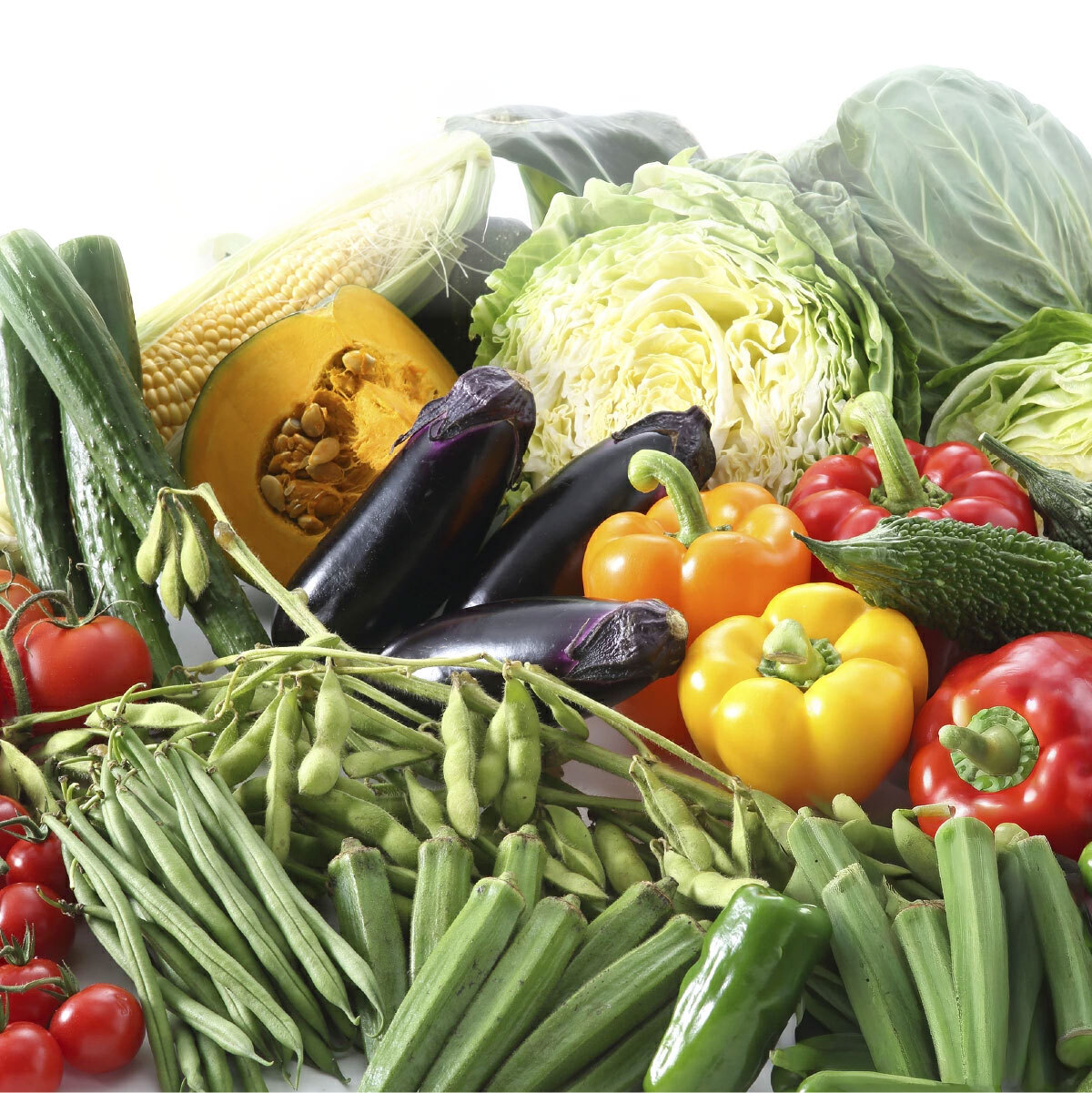 【選べる開始月・サイクル】野菜 定期便 12回 8~10品目 旬のおまかせ野菜セット 12ヶ月